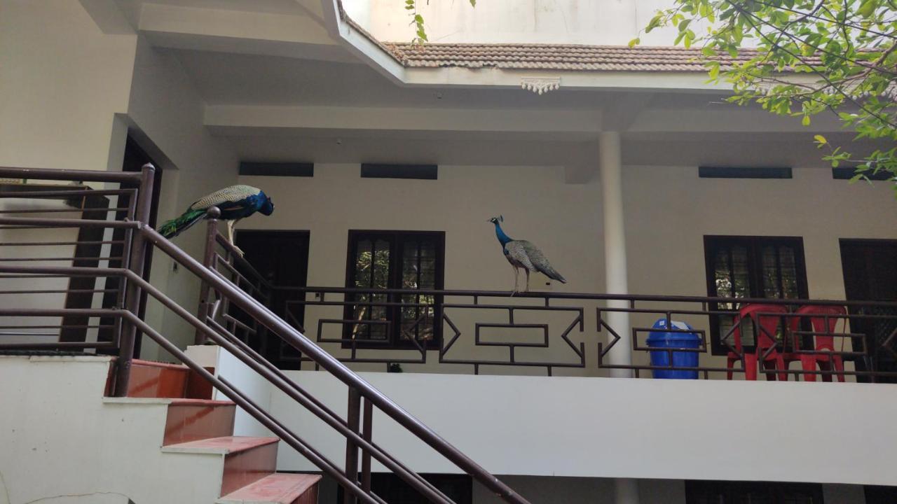Pebblecoast Beach Resort 可瓦兰 外观 照片